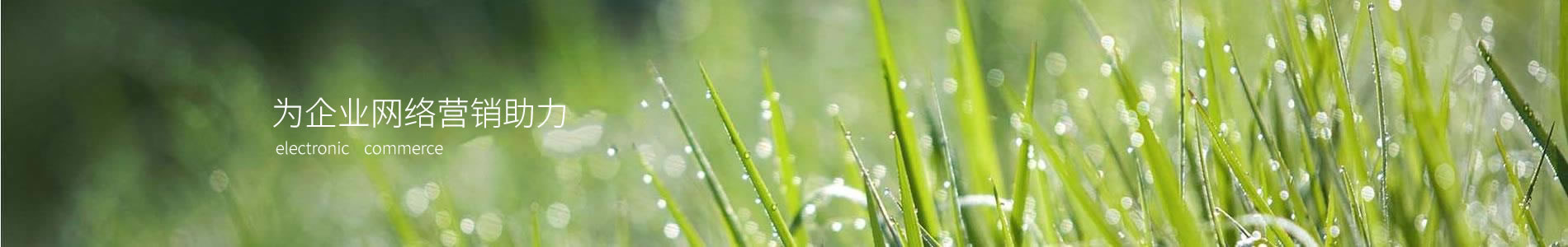 ĳɭֹ޹˾
